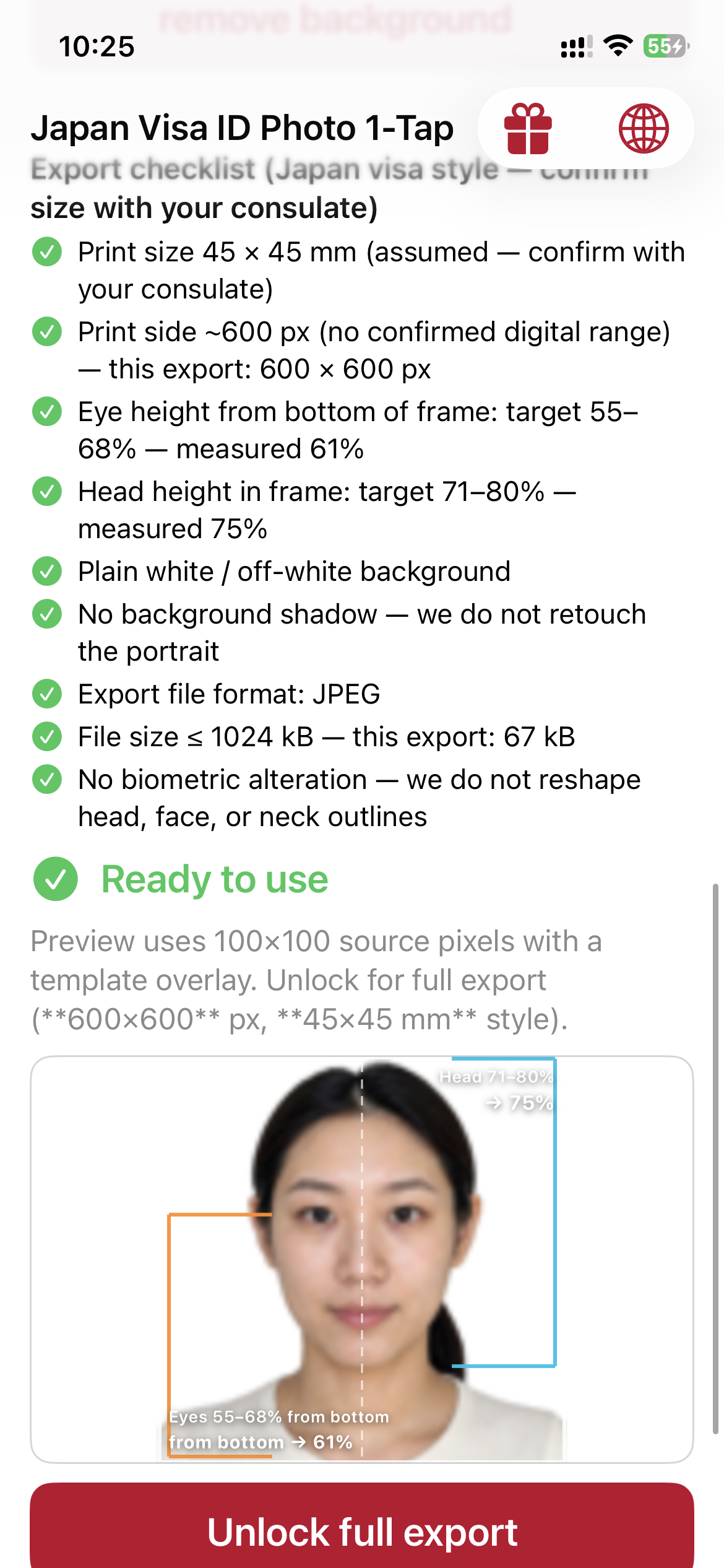 Full export checklist with Japan visa measurements